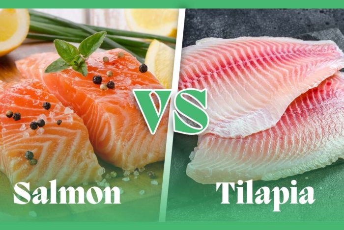 Salmon vs tilapia vs catfish nutrition facts